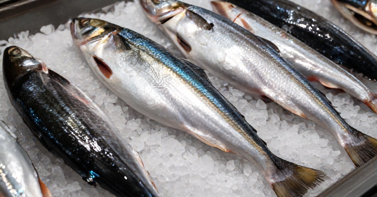 Tłuste ryby morskie bogate w omega-3 — łosoś, makrela, sardynki, zalecane po zawale serca